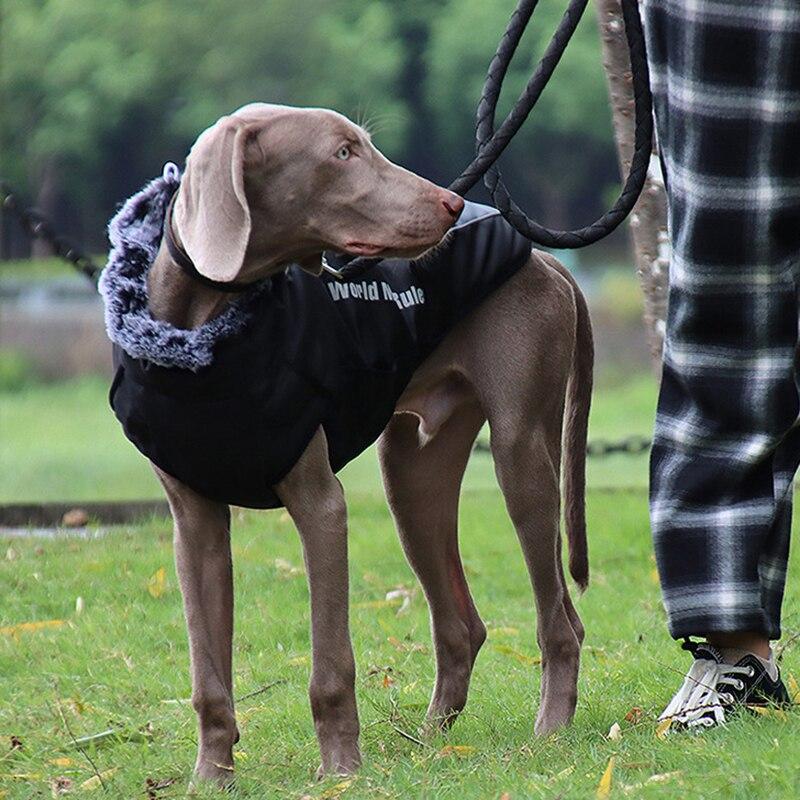 Thick Dog Coat Clothes