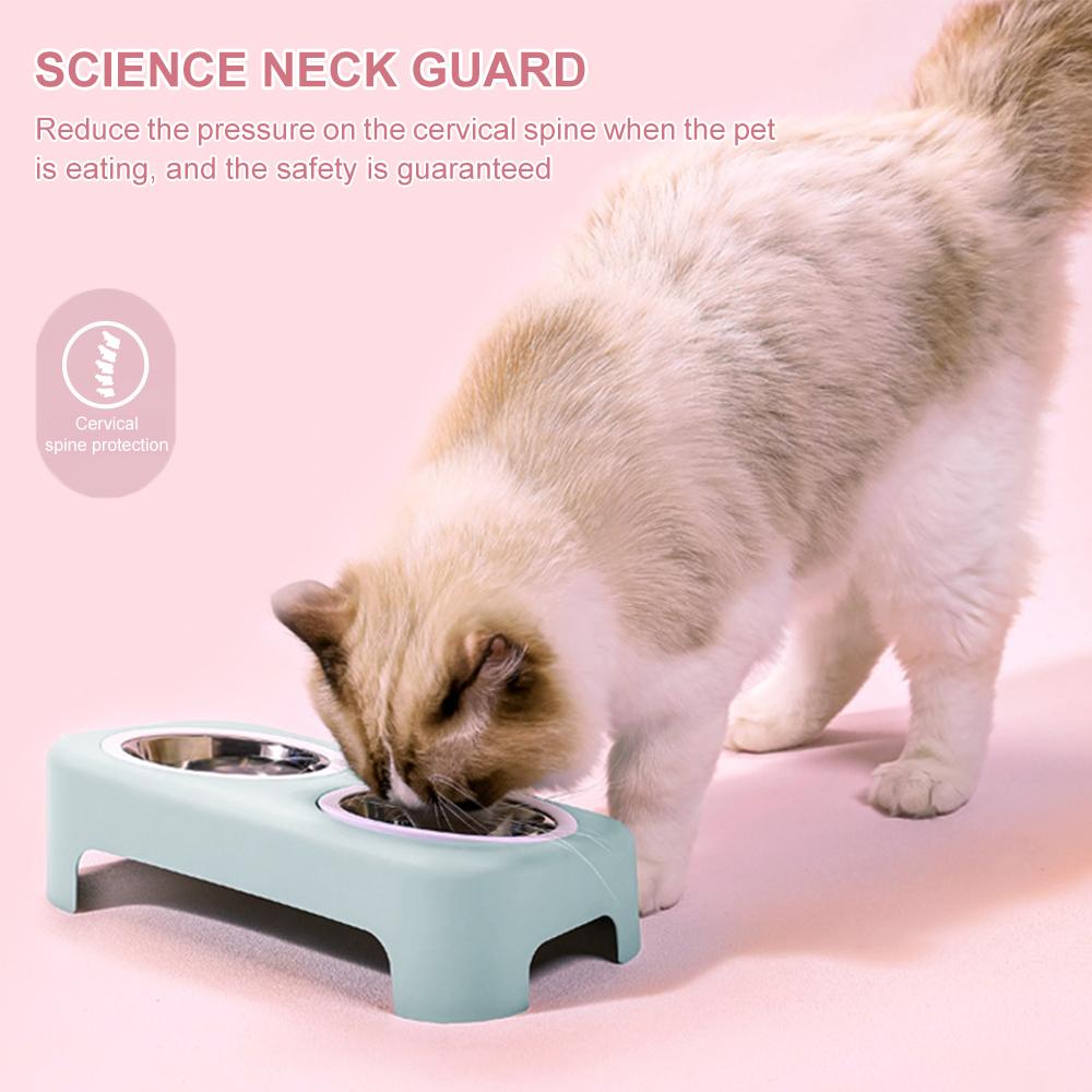 Pet Feeding Double Bowl Anti-skid Water Bowl