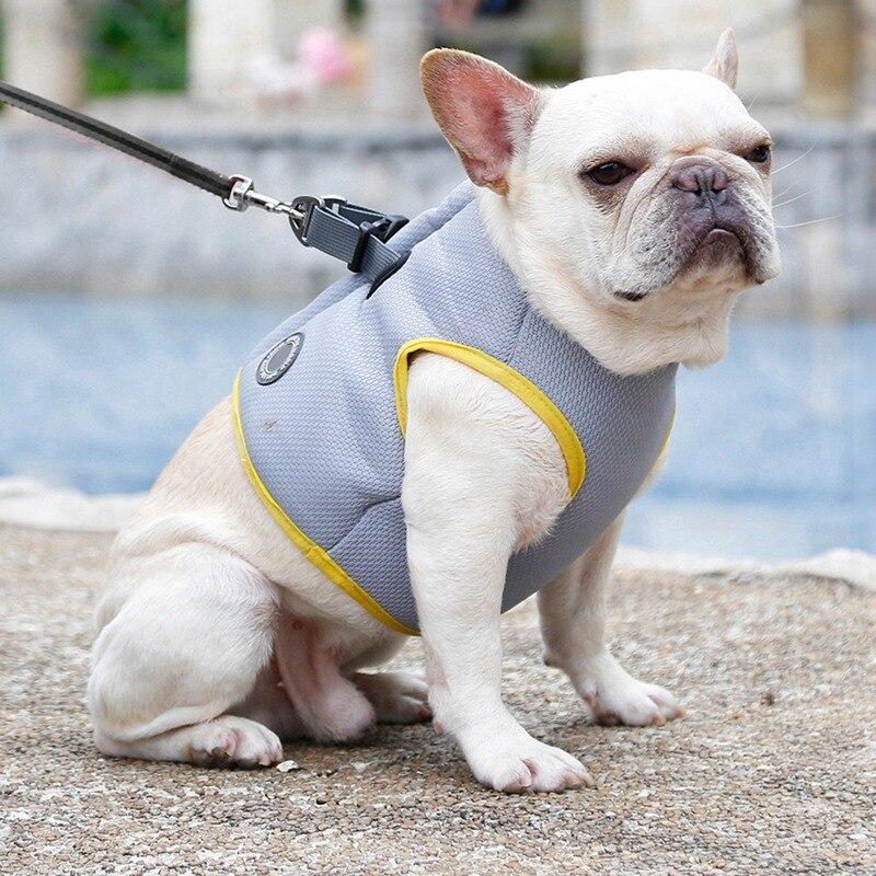 Dog Harness and Leash Puppy