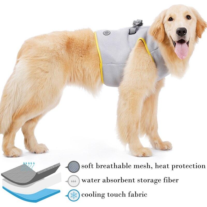Dog Harness and Leash Puppy