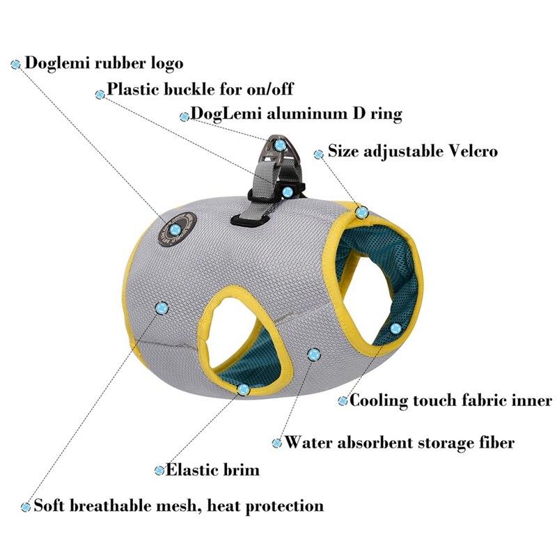 Dog Harness and Leash Puppy