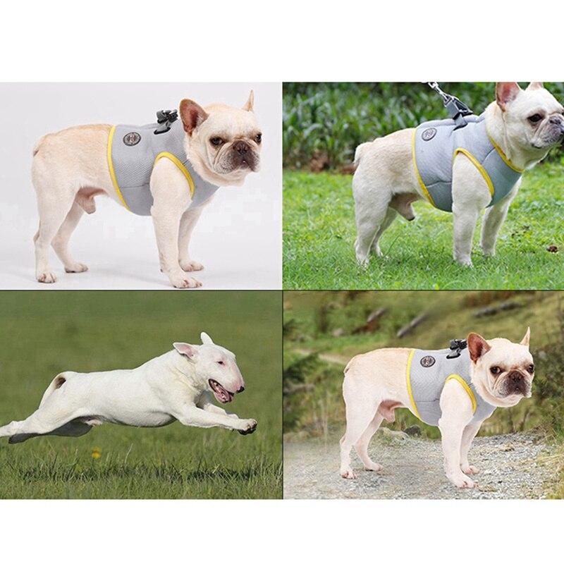 Dog Harness and Leash Puppy